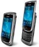Blackberry Torch