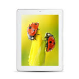 Unlock ZTE V813, ZTE V813 unlocking code